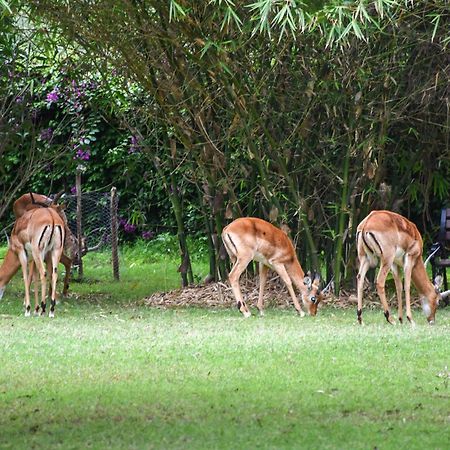 Hotel Lukenya Getaway Athi River Esterno foto