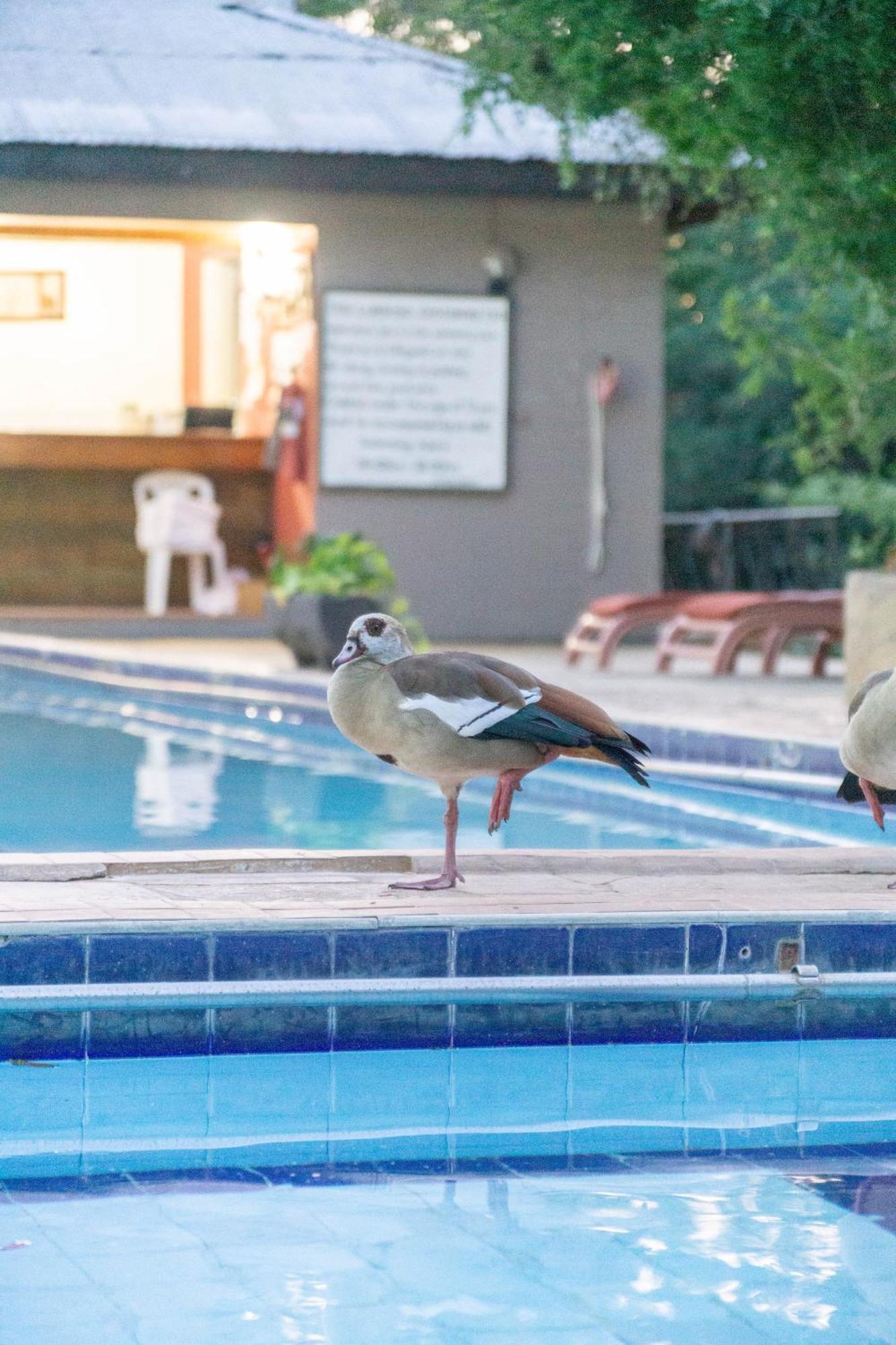 Hotel Lukenya Getaway Athi River Esterno foto