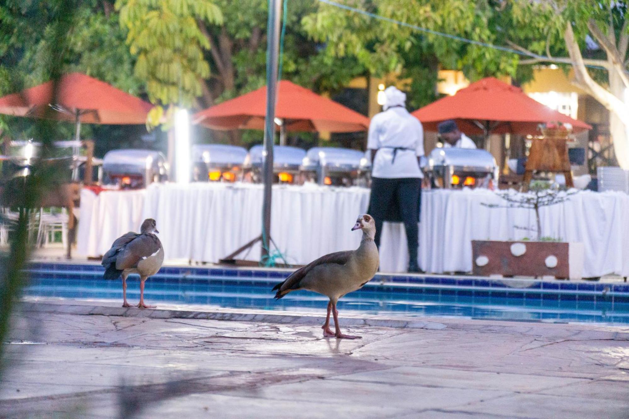 Hotel Lukenya Getaway Athi River Esterno foto
