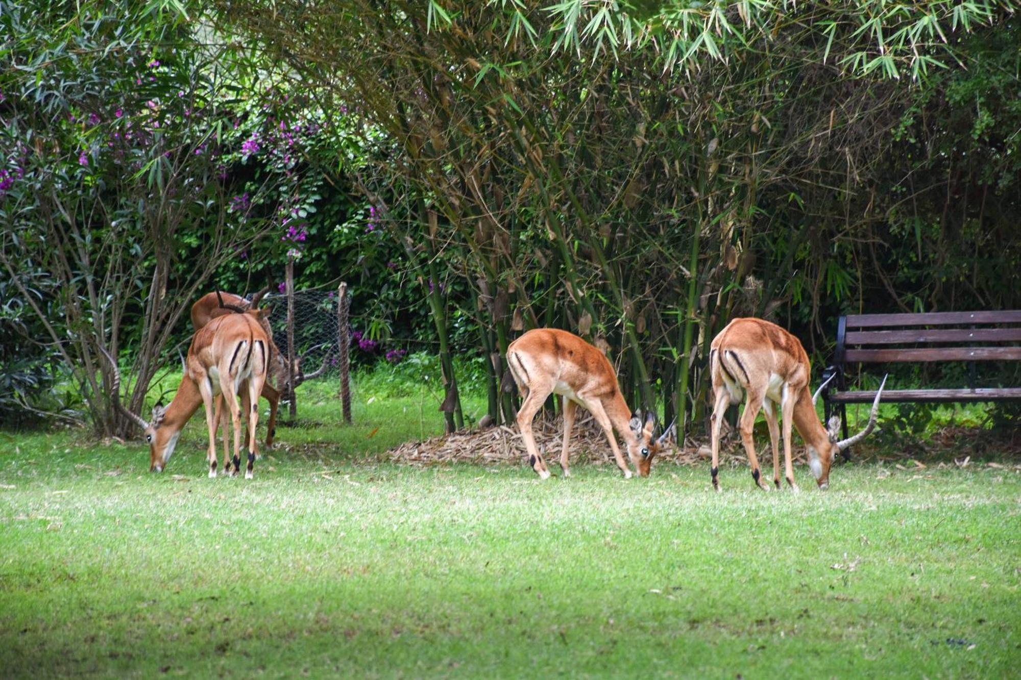 Hotel Lukenya Getaway Athi River Esterno foto