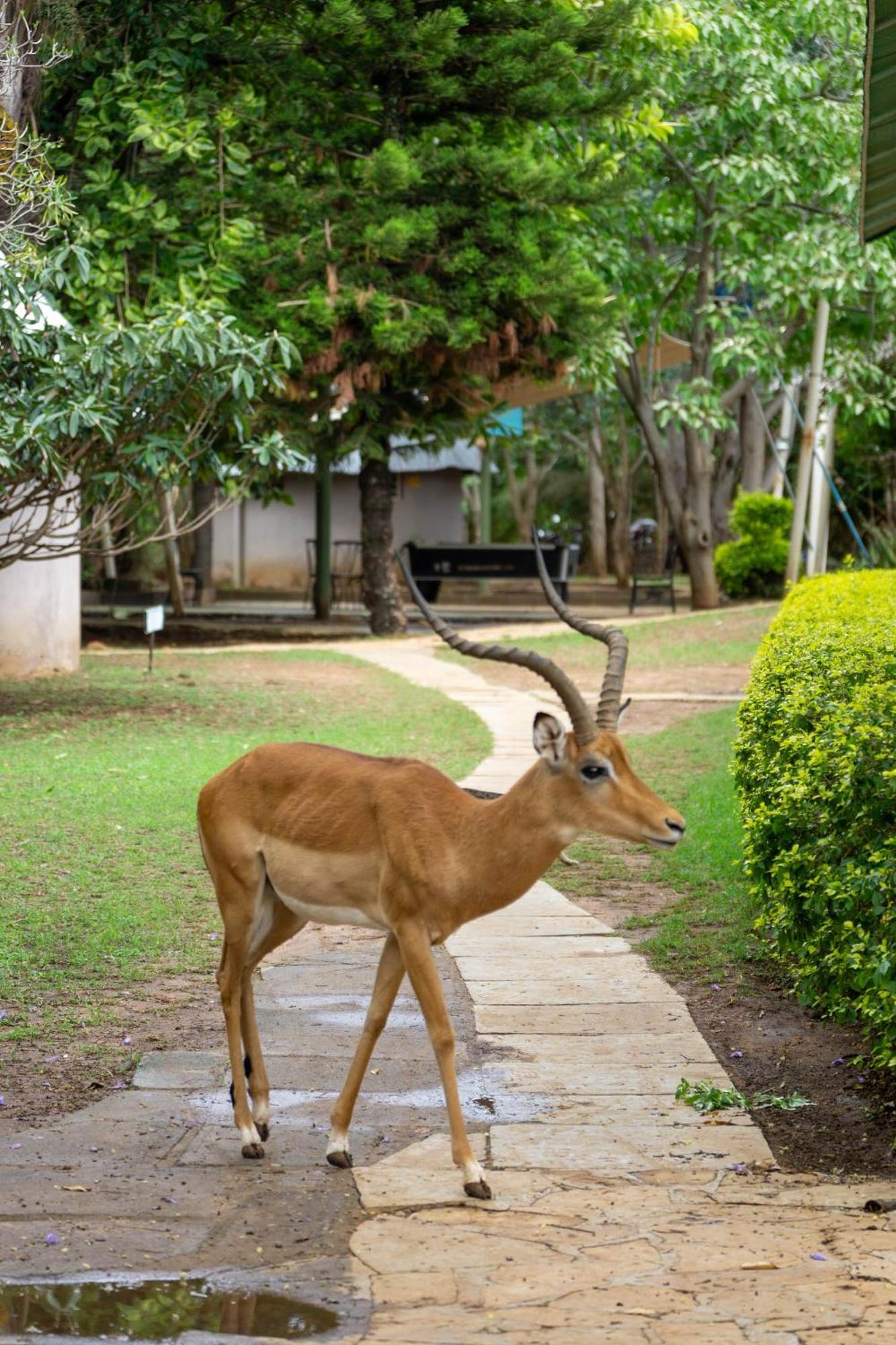 Hotel Lukenya Getaway Athi River Esterno foto